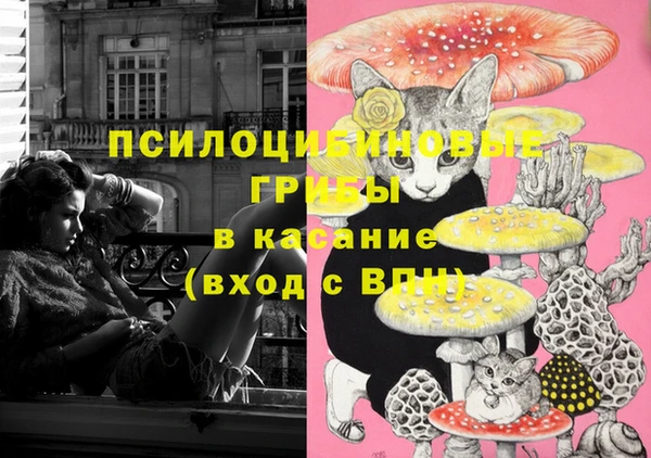 а пвп мука Алзамай