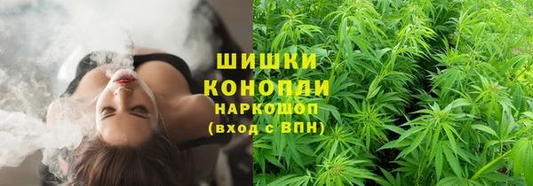 а пвп мука Алзамай