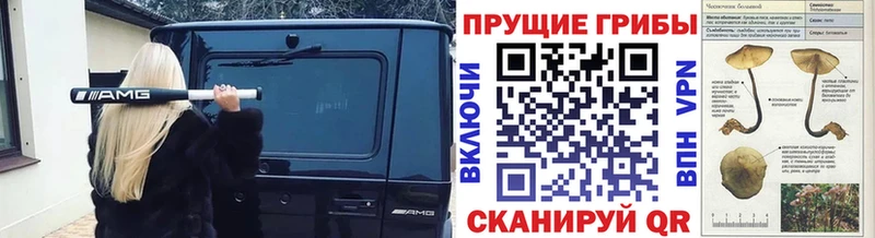 Галлюциногенные грибы мицелий Златоуст