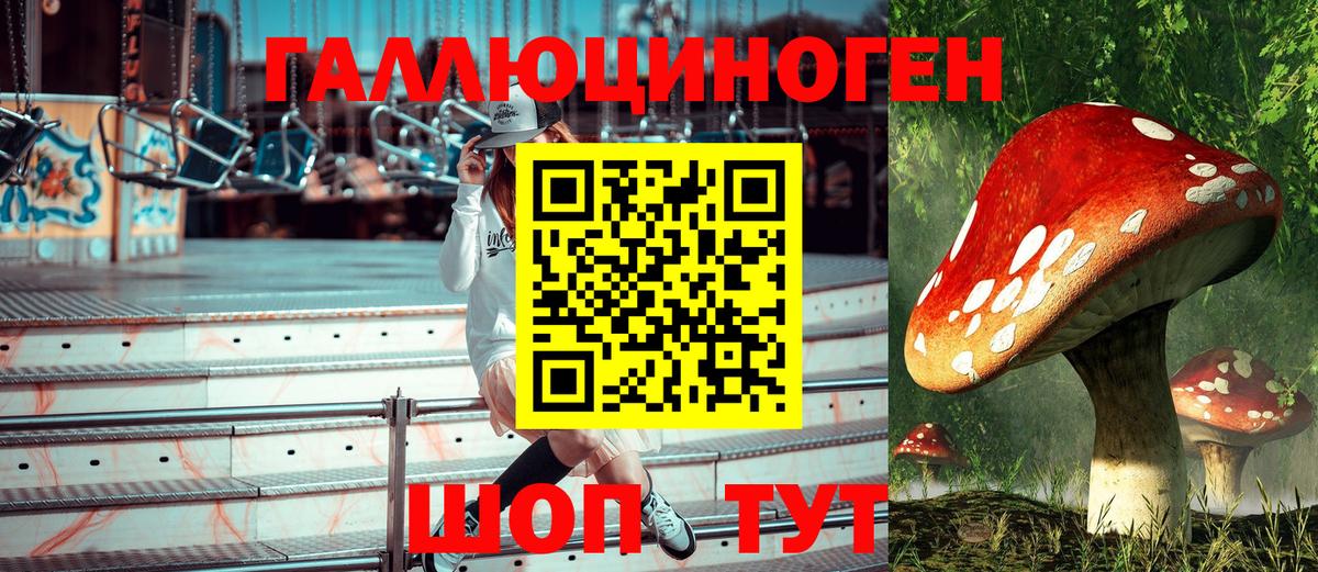 Псилоцибиновые грибы MAGIC MUSHROOMS Златоуст